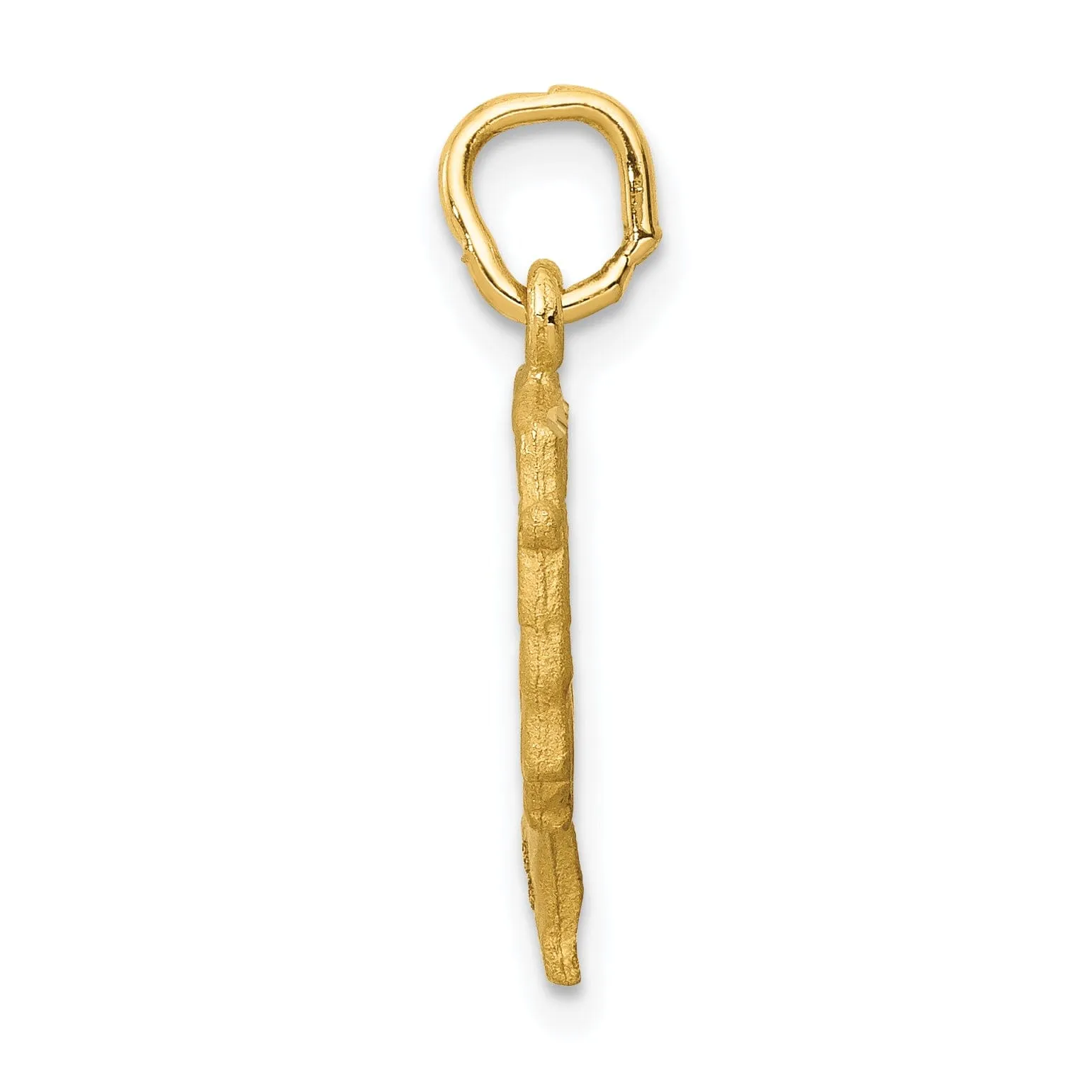 14K Yellow Gold Satin Front Finished and Polished Back Finish Queen Nefertiti Charm Pendant