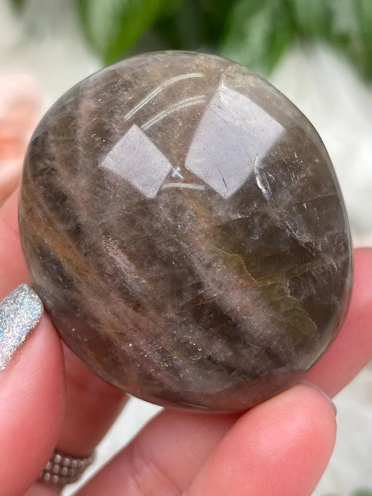 Brown Moonstone Palms