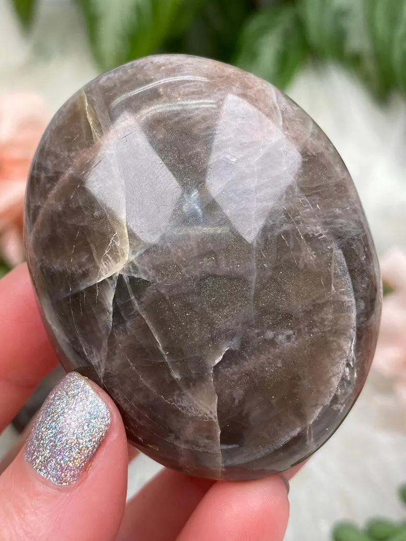 Brown Moonstone Palms