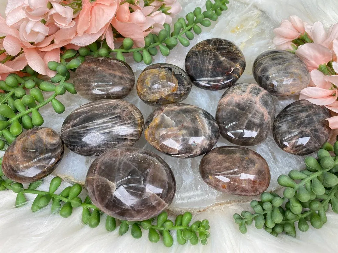 Brown Moonstone Palms