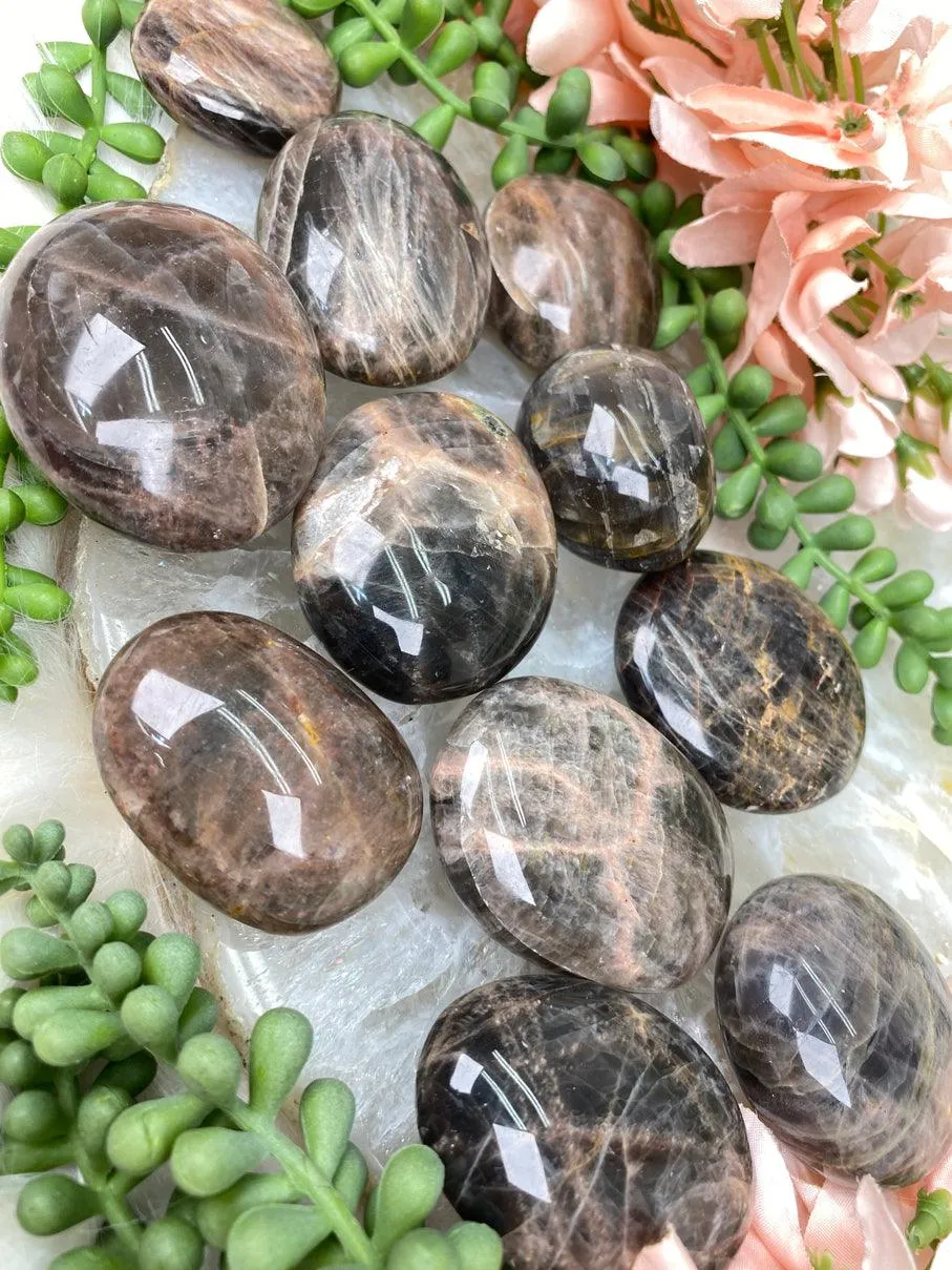 Brown Moonstone Palms