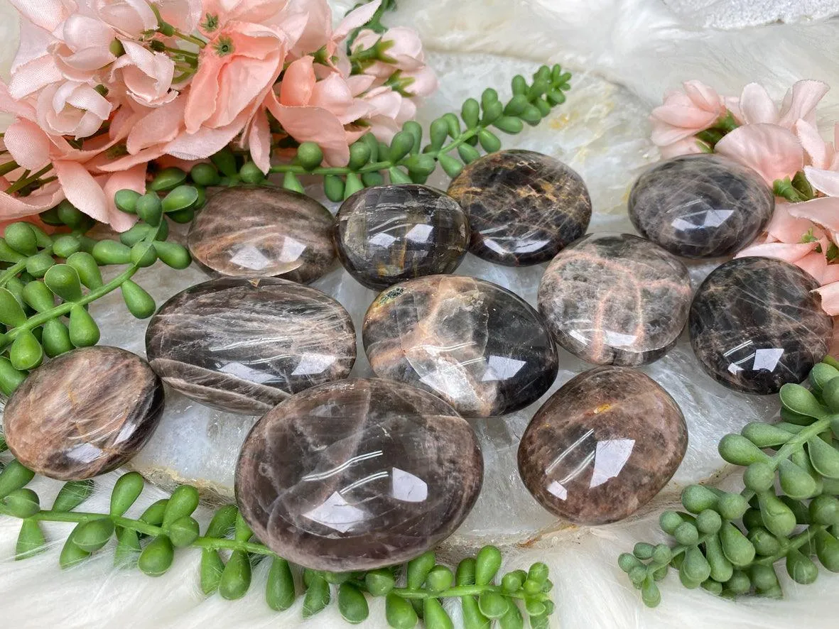 Brown Moonstone Palms