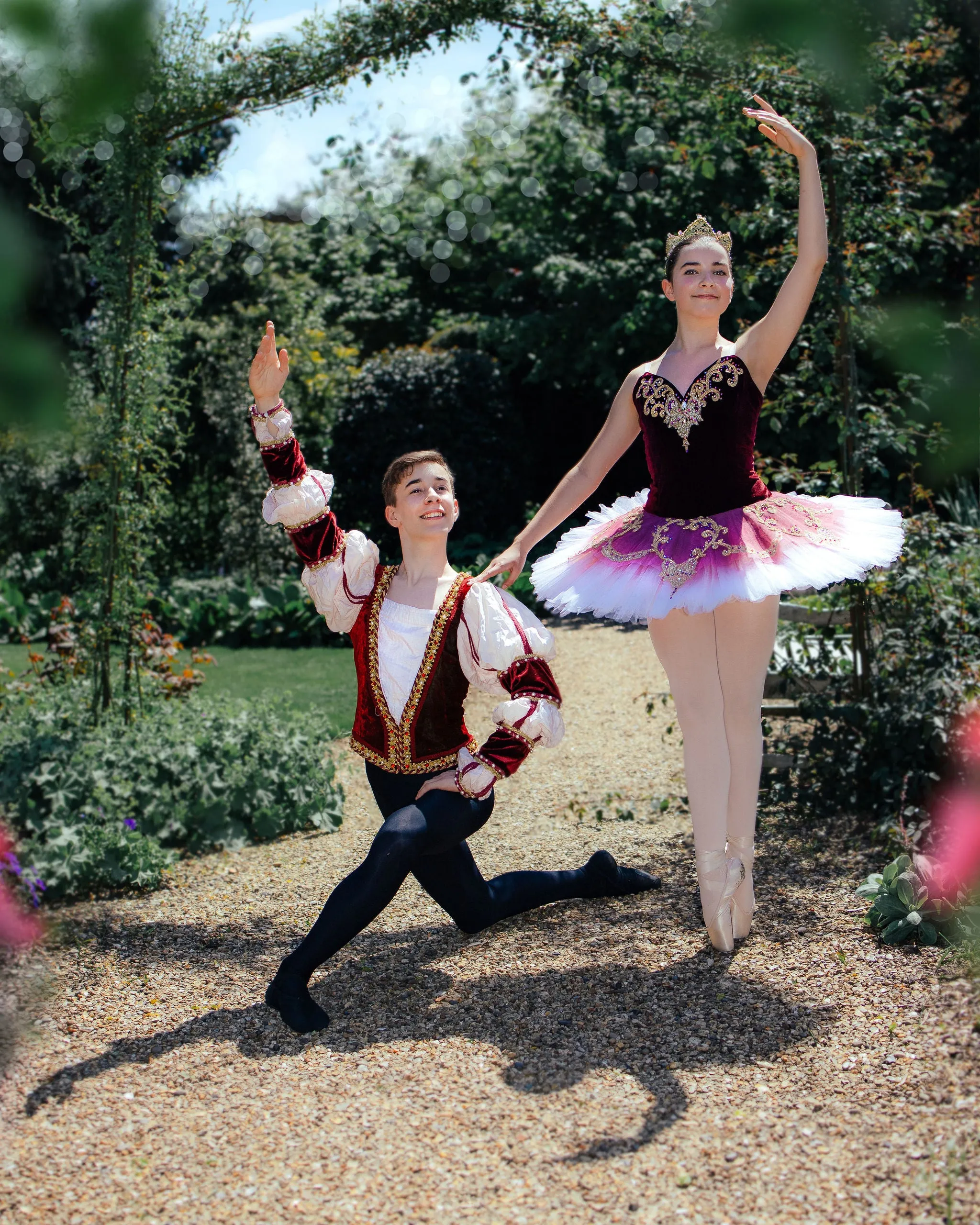 Burgundy and gold Raymonda tutu - Hire only