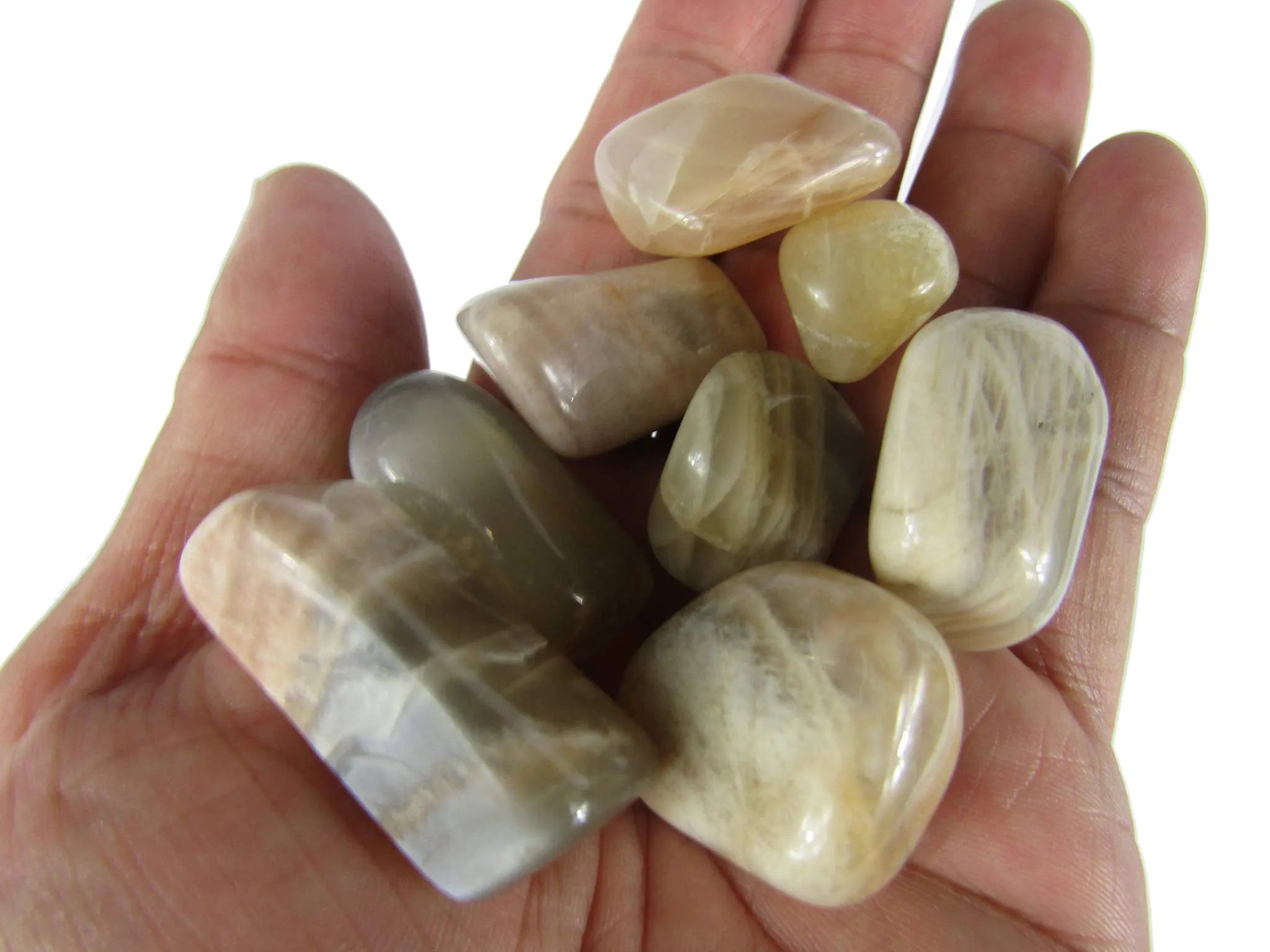 CircuitOffice 5 Piece Moonstone for Wicca, Reiki, Healing, Metaphysical, Chakra, Positive Energy, Lucky Feng Shui, Meditation, Protection, Powers, Decoration Or Gift