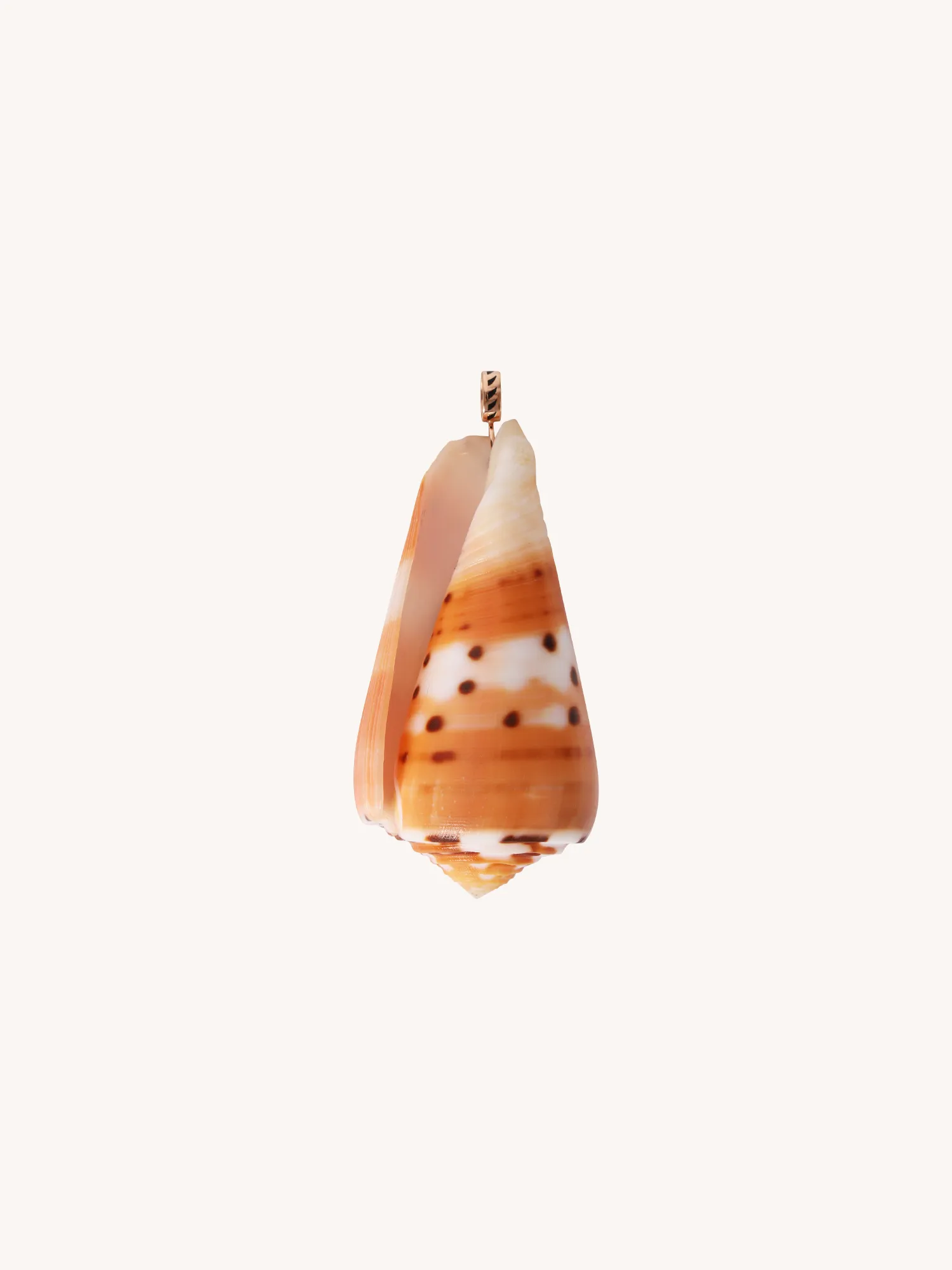 Citrine and Mitra Shell Charm