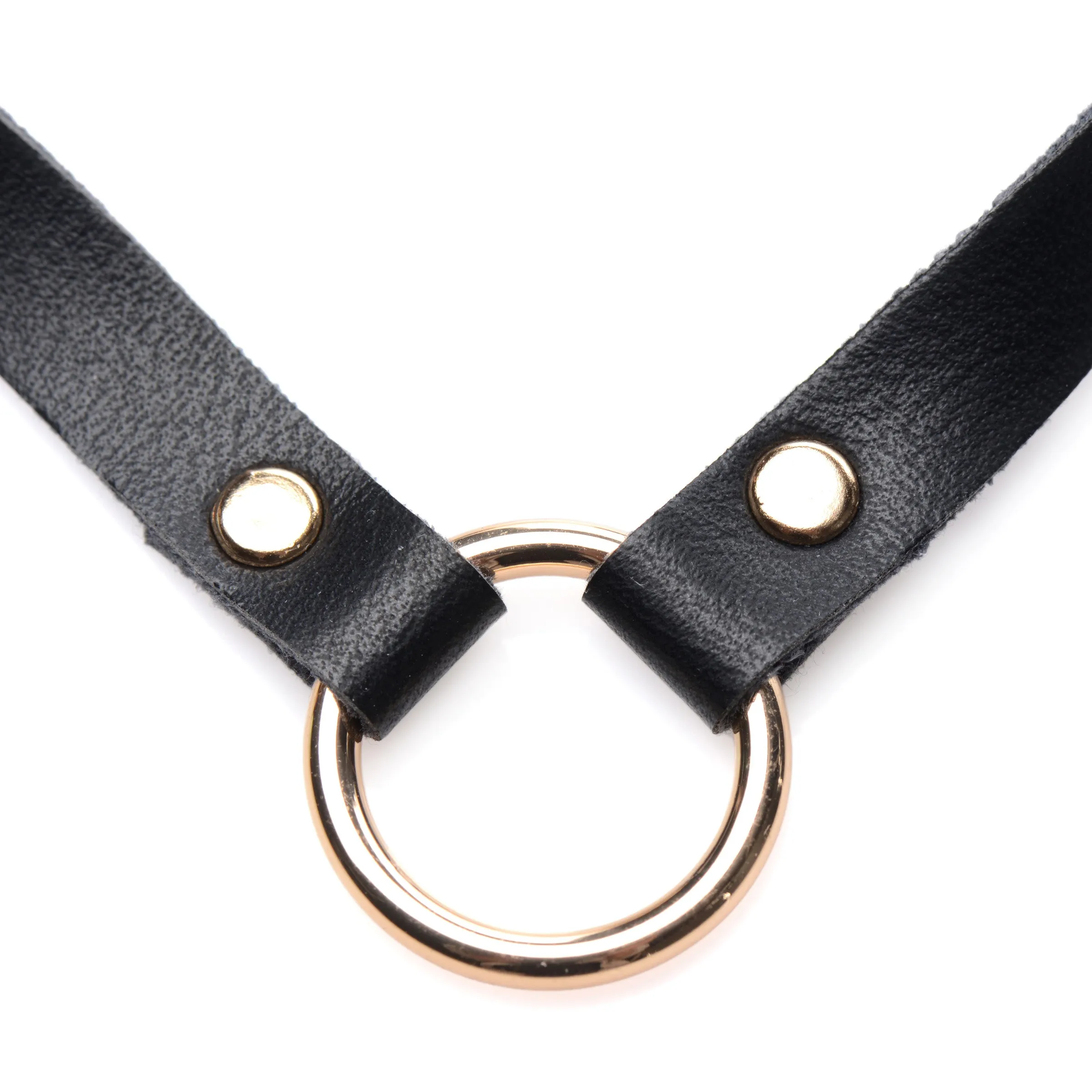 Posh Pet Gold Ring Slim Choker