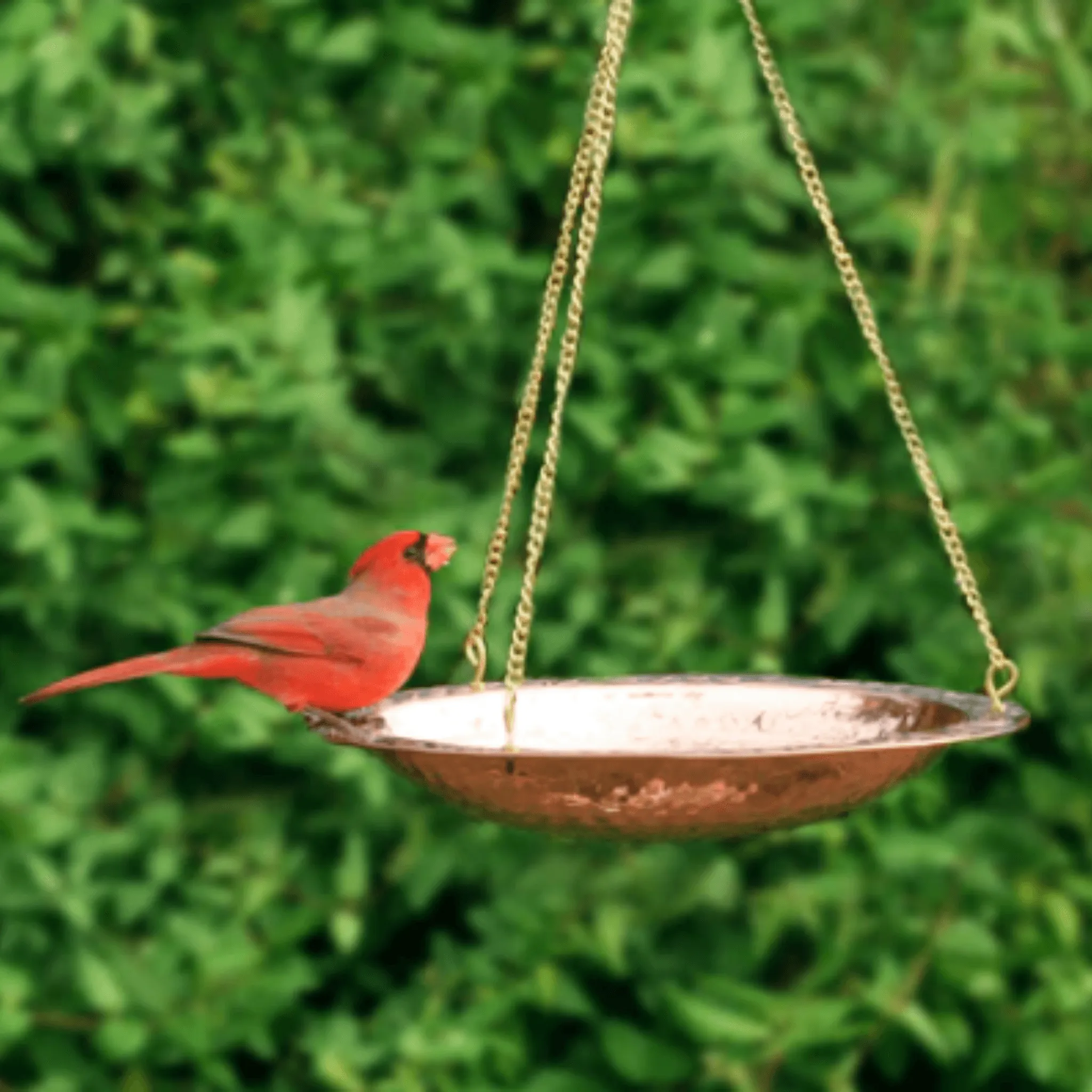 Pure Copper 18" Hanging Bird Bath