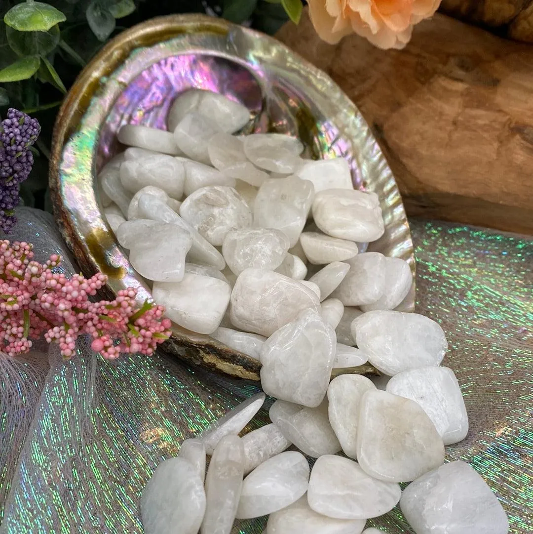 White Moonstone Tumbled Stones